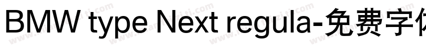 BMW type Next regula字体转换